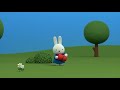 Miffy | Grunty The Ballerina | New Series! | Miffy's Adventures Big & Small | Full Episode