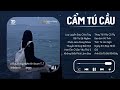 Cẩm Tú Cầu Lofi l Chờ Người Từ Lúc Nắng Dần Buông - Nhạc Lofi Chill TikTok Tâm Trạng Hay Nhất 2024