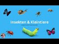 50 Animals & Insects in GERMAN | 50 Tiere & Insekten auf Deutsch | German Vocabulary | KidsGerman