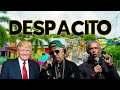 Despacito - Trump, Biden and Obama AI cover