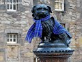 Greyfriars Bobby, a tale of loyalty