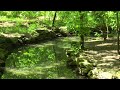 4K River Rapids in Evergreen Forest | 3 Hours Relaxing | Calming Nature Ambience