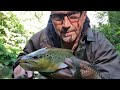 Fly fishing .river leven trib of the tees ...2 miles from home .