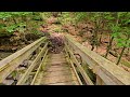 Hike Through Forest to Waterfall Alongside Stream