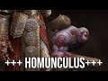 The Disturbing Process of Homunculi Creation in Trench Crusade