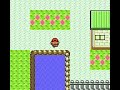 My Pokemon Rom Hack teaser