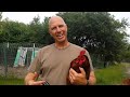 How to keep your rooster quiet