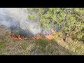 Kotigram || Wildfire in Pakistan || Forest Fire in Kotigram Dir Lower || کوٹیگرام سنگر پہاڑوں میں آگ