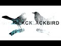 Blackbird Song - Jeremy Boissel (ukulele cover)
