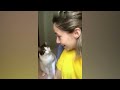 Funny Dogs And Cats Videos 2023 🤤 - Best Funniest Animal Videos Of The Month #16