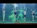 [대전 엑스포 아쿠아리움] 수중발레 공연, 블랙스완의 아름다운 사랑 이야기