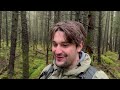 My Quest to find the UK's Largest Forest...