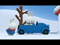 Miffy wins the World Cup! | Miffy | New Series! | Miffy's Adventures Big & Small