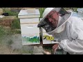 Colorado Beekeeping: Adding a brood box to Vienna Hive