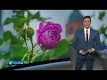 tagesschau 20:00 Uhr, 04.07.2024