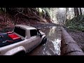 Capitol Forest Trails with the TRX4 Sport