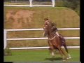 Capt. John Ledingham (IRL) & Kilbaha (ISH) - 1994 Hickstead Derby 1st Rnd clear