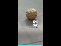 지금 국립현대미술관에서 제일 핫한 작품에 숨겨진 불편한 진실 | #현대미술 #최우람 #Shorts