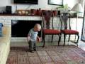 toddler dancing to Stevie Wonder Superstition