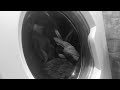 Washing machine sounds ASMR 1 hour