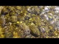 River Sound & Water noise for Sleep and Rest, Relax - 2 hours Nature Sounds
