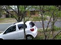 Spring in Australia VID 20240912 100246