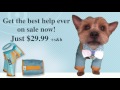 Dog grooming made easy!