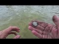 I Went Metal Detecting at a Secluded Beach on the Gulf of Mexico