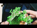Mini Garden Inside The Shell | Sea Shell Garden | Moss Inside The Sea Shell | Sea Shell Miniature