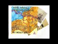 Ariel Pink - My Molly EP (2006, HQ) / LP120XUSB, VM95E