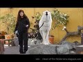 Awesome Wolf Howling Compilation