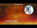 Humbug's Flight - MSMR
