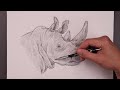 How To Draw a Rhinoceros | Sketch Tutorial