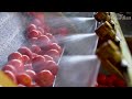How the Italian mafia makes millions from tinned tomatoes | It's Complicated