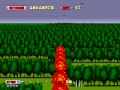 Sega Saturn アフターバーナーII / After Burner II (Secret option play data)
