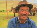 HORSES OF THE MONGOLIAN STEPPES