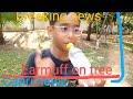 Chapri News S1 EP1