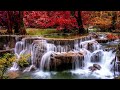 Sleep Music to Fall Asleep Fast: Relaxing Music, Stress Relief,