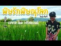 พิษรักพิษณุโลก - โดม วงริสแบนด์【COVER VERSION】| Original : ศรีหนุ่ม เชิญยิ้ม