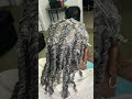 How to: 2-Strand Twist Natural Gray Hair