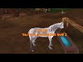 If Star Stable was a wild horse simulator game