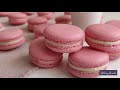 Macarons  | Success from the FIRST try | Macaron Recipe with Cream Cheese