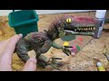 How To Make A Latex Stop-Motion Dinosaur Puppet Tutorial | Monosuchus