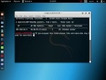 netdiscover Kali Linux