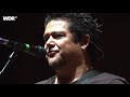 NOFX live | Rockpalast | Highfield Festival 2016