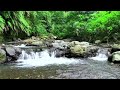 Goodbye Insomnia With Water Flowing Sound | River Sounds On Deep Forest At Morning, Calm the Mind