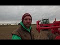 Unloading a silo bag, out loading corn