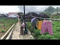 I walk in the Indonesian countryside || The real beauty of Sikucing Village ||walking in the village