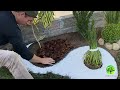 The best elements to decorate a Garden #2 | Refúgio Green