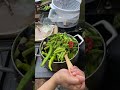 Garden Vegetables Cooking Part 2